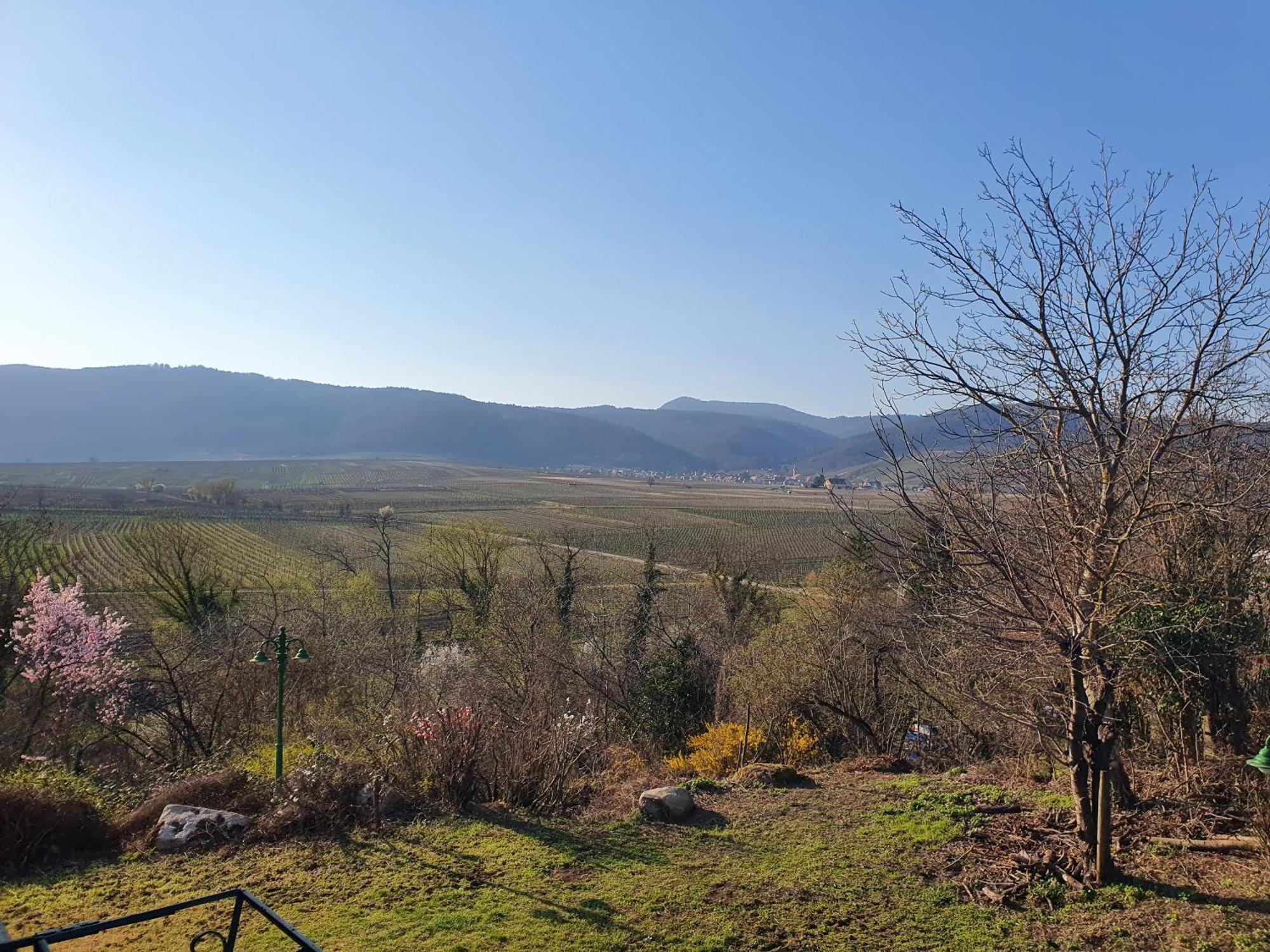 Kanzel Residences Beblenheim Quarto foto